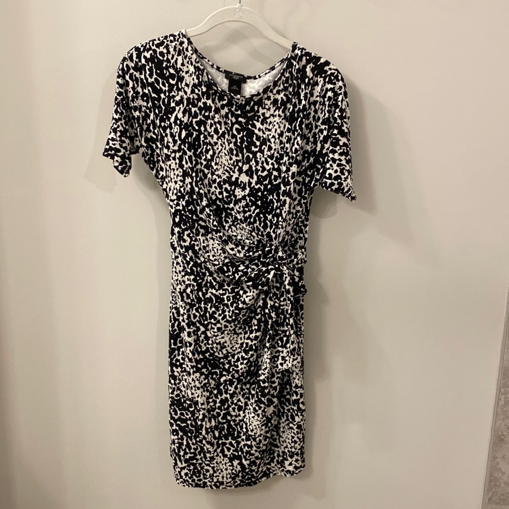 Ann Taylor Dress